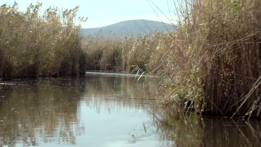 Expanses of reeds in Danube Delta