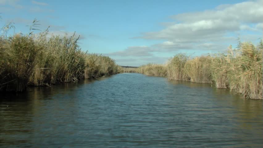 Endless expanses of water and reeds in the Danube Delta