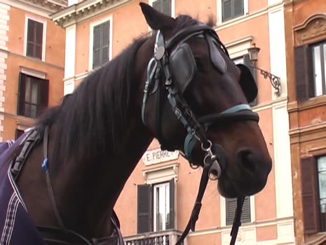 horse-drawn carriage