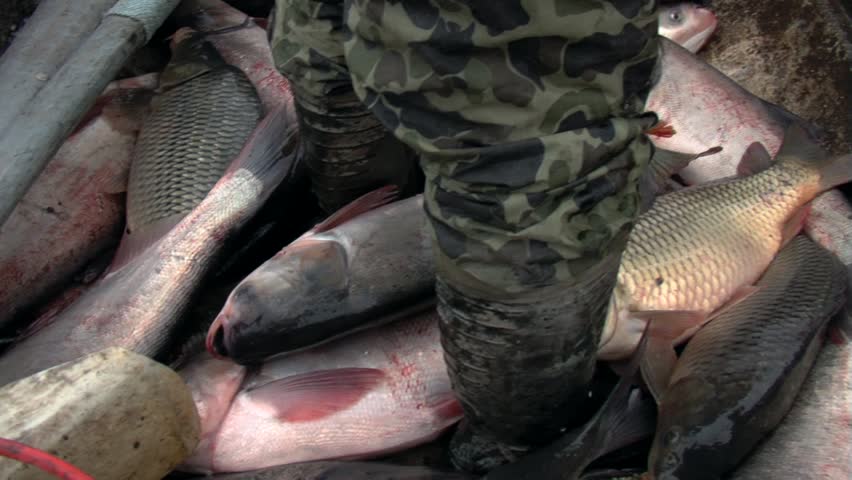 Traditional fishing in Danube Delta