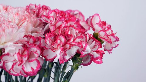 close-up, Flowers, bouquet, rotation, floral composition consists of Gently light pink turkish Carnation