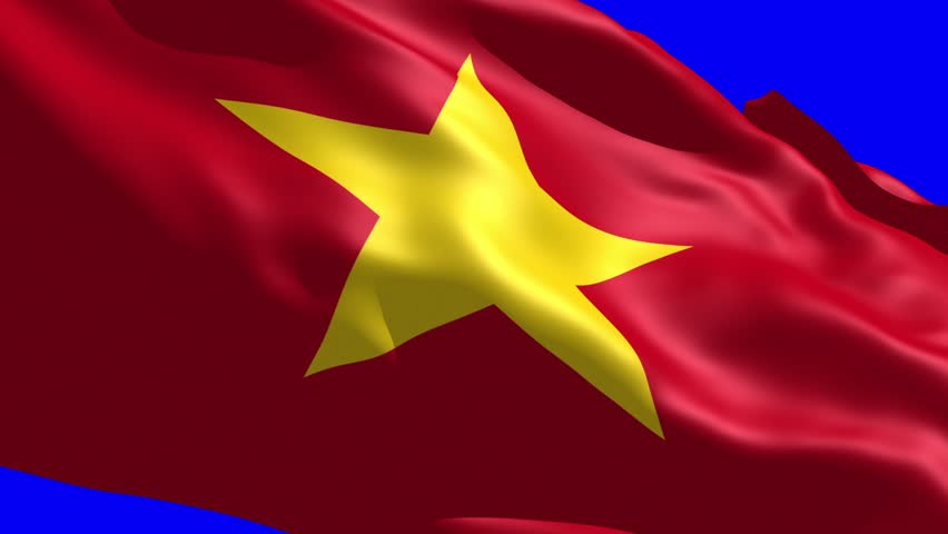 Vietnam Flag Vietnam Waving Flag Stock Footage Video 100