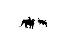 Black set silhouettes zoo animals collection on white background animation.