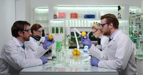 Genetically Modified Lemon Fruit Biologists Working Injects Treats in Laboratory