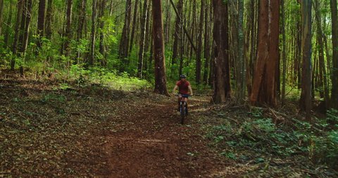 Aerial view of mountain biker riding through the forest