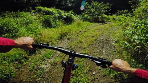 Mountain biking in the forest