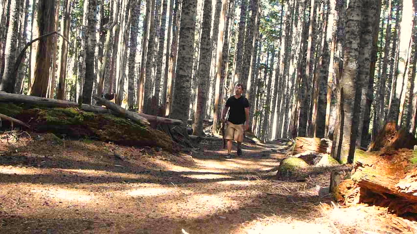 man hiking up path through thick forest and trees in the Pacific Northwest,