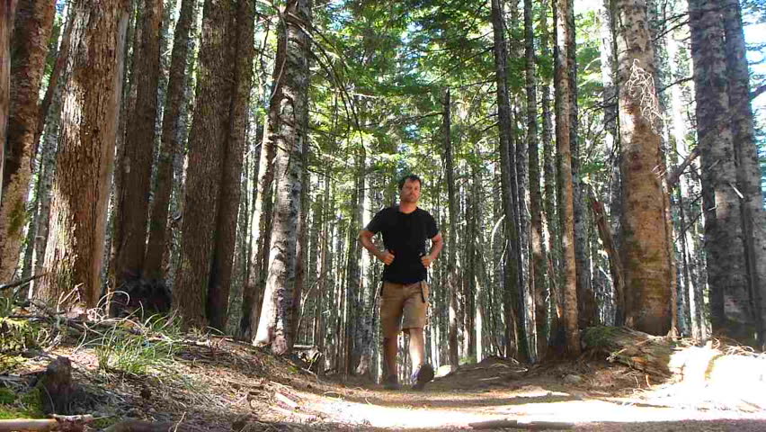 man hiking up trail through thick forest in the Pacific Northwest, Oregon.