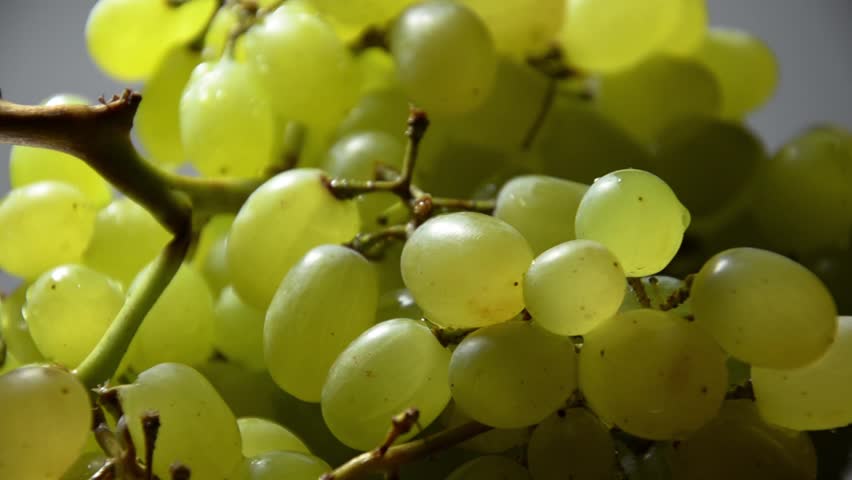 White grapes close-up shot. (Rotating)