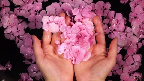 Woman enjoying hands care bath with hydrangea flowers, touching and holding them. Lifestyle background in 4K.