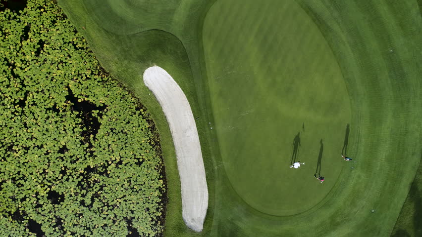 Golf course aerial view. Landscape of a golf court with palm trees in Punta Cana, Dominican Republic