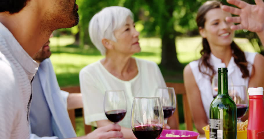 Happy family interacting with each other while having meal in the park | Shutterstock HD Video #27940246
