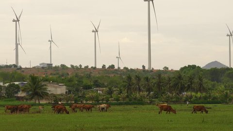 PHAN RI, NINH THUAN, MAY 2017: VietNam Wind Energy ( Ninh Thuan, Viet Nam ) at Phan Ri, Ninh Thuan.