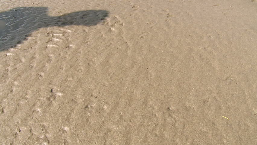 Person walks by camera leaving footprint in sand.
