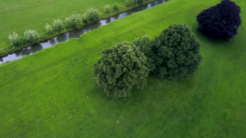 Circle shot of a park tree