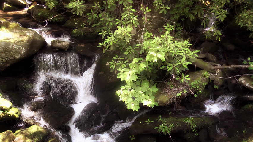 Lush greenery in the Appalachian forest of the Blue Ridge mountains surrounds a water fall cascading over large boulders