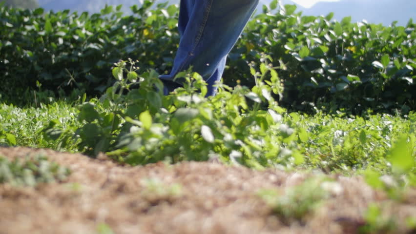 Slow motion of farmer's legs walking in the nature Royalty-Free Stock Footage #28014913