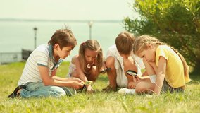 Group of children with magnifying glasses having a close look at the local fauna and flora