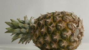 Tilting on laid down pineapple plant crown and body 4K 2160p 30fps UltraHD footage - Slow tilt on ananas comosus exotic fruit 4K 3840X2160 UHD video
