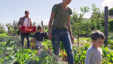 Family Working On Community Allotment Together