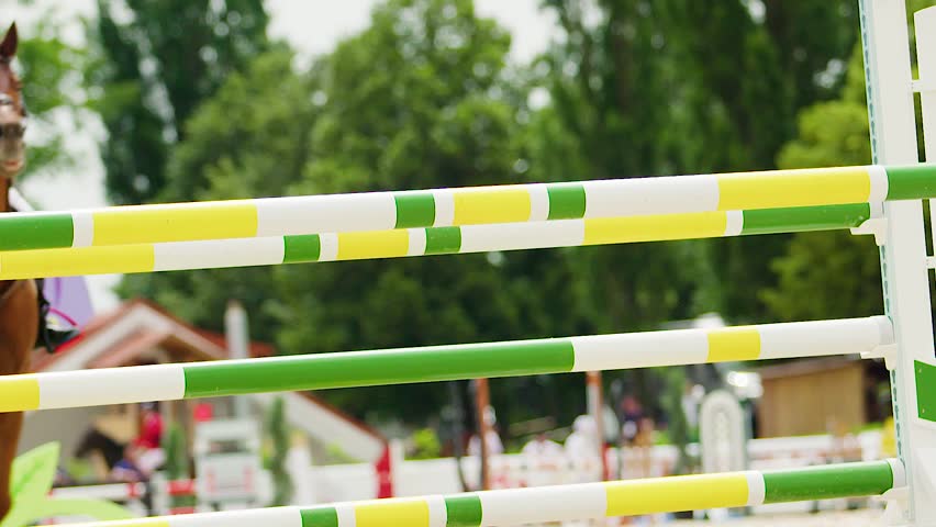 Horse jumping fences in equestrian competition, compilation Royalty-Free Stock Footage #28053352