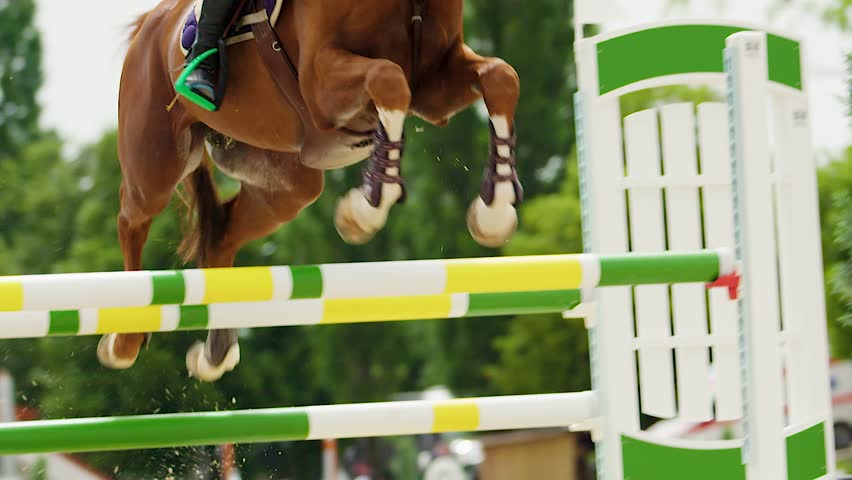 Horse jumping fences in equestrian competition, compilation