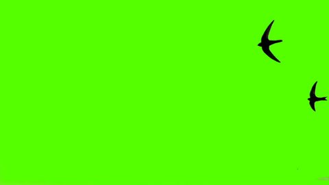 Flying Airplane Motion Green Screen Background Stock Footage Video (100 ...