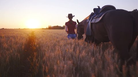 Rider and horse walk through wheat field towards the sunset 4K. Camera on gimbal stabilizer tracking person and horse in focus walk towards the sunset in middle of farm field. 