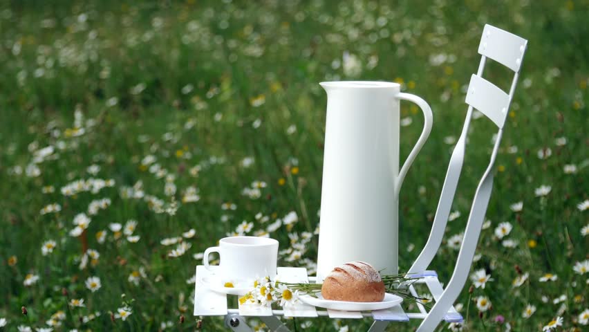 Among the chamomile lawn stands a white chair. On it there is a composition of a white jug, a white cup with tea, a bread and a bouquet of chamomiles.