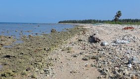 Video wild beach of the Indian Ocean . Sri Lanka, Kalkuda, March 2014