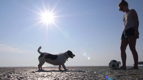 Woman Playing With Dog With Ball At Beach. Slow motion. HD, 1920x1080. 