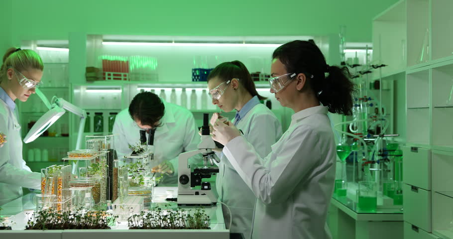 Group of Biochemists Team Work Talking Organic Plants and Seeds in Research Lab Royalty-Free Stock Footage #28134094