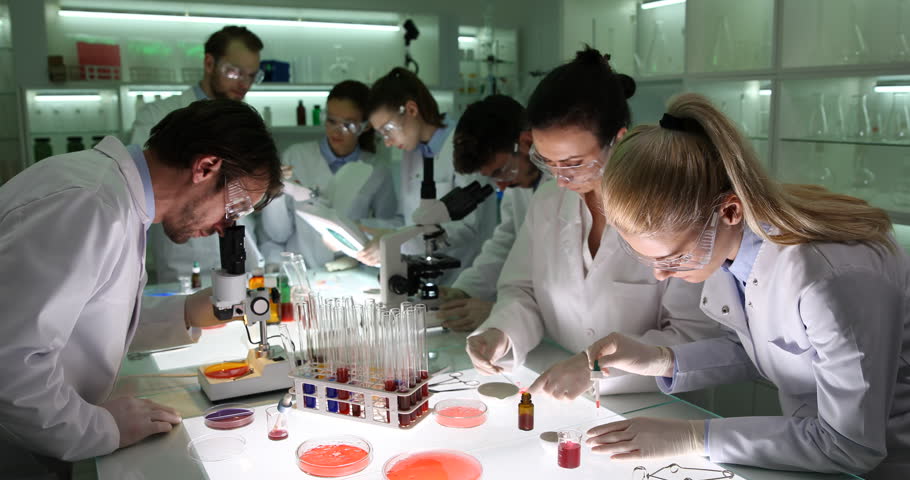 Team of Biochemists Researchers Work Stock Footage Video (100% Royalty