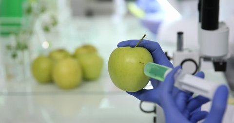 Biologist Inject in Apple Laboratory with Liquid Syringe Testing Growth Close Up