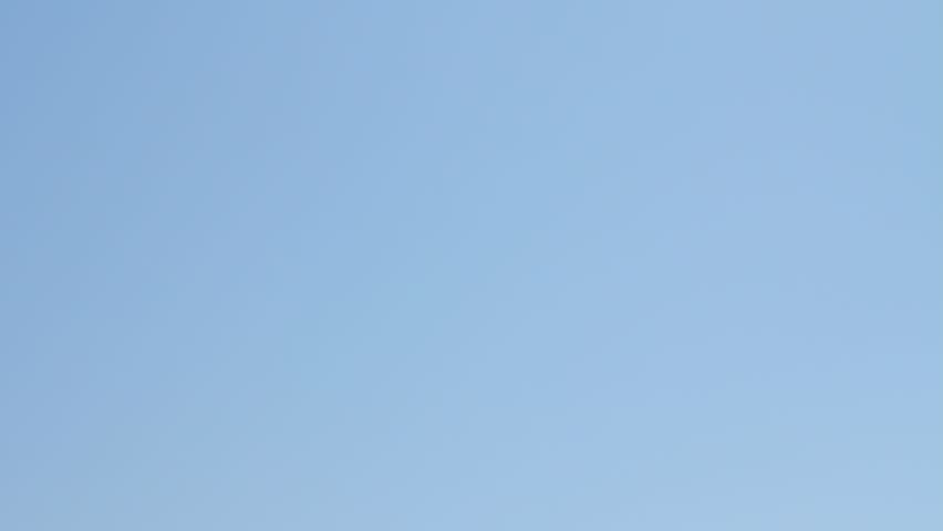 Rocky island and old trunk in the south of Italy
