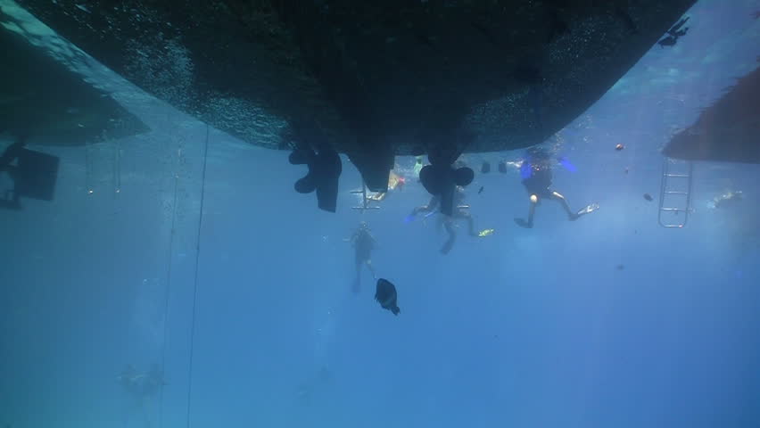 Group of divers preparing to dive, Red sea