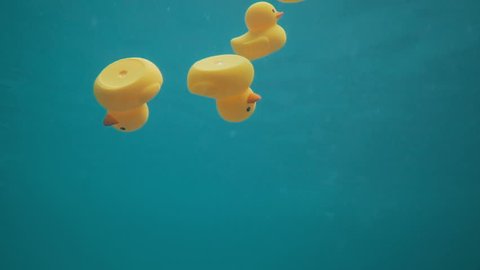 Beautiful shot of yellow plastic duck floating in blue water of swimming pool, filmed with an underwater camera - video in slow motion