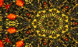 NTSC - Motion 305: Kaleidoscopic patterns of nature (Loop).