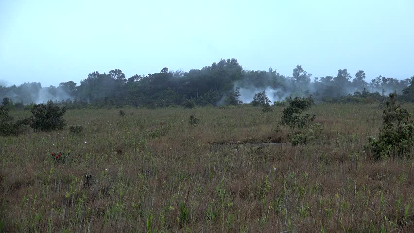 Steam Vents in Volcanoes NP by twilight. Volcanoes NP. Big Island, Hawaii, USA