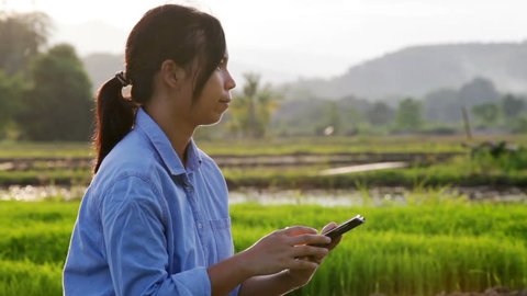 Close-up of asian young female using digital tablet in agricultural field