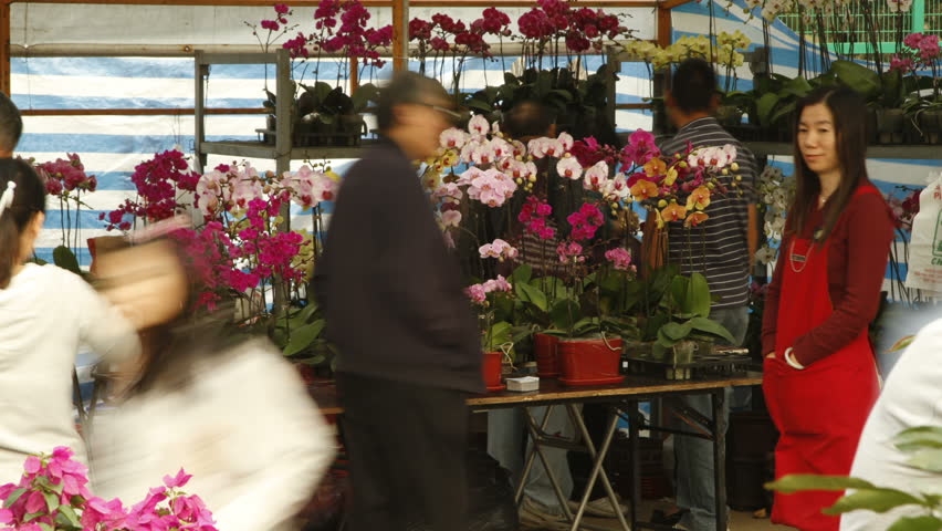 HONG KONG - DECEMBER 24: Time lapse of Orchid Flower Shop in Open Air Market.