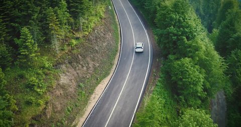 Aerial view of car driving through the forest on country road, Yedigoller, Turkey, 2017