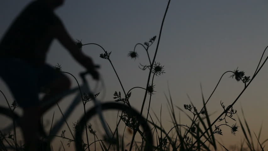 Cyclist jogger sunset backlit silhouette against clear twilight clear sky and wild herbs and plants.
