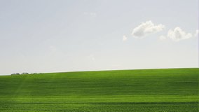 Green grass field and bright blue sky - panoramic view