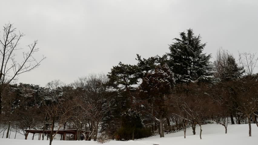 Winter Park: The corn snow got off. A wintry landscape.