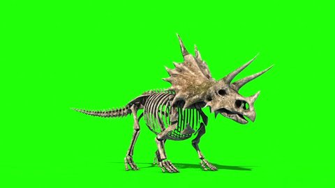 Triceratops Skeleton Dies Jurassic World Green Screen 3D Rendering Animation