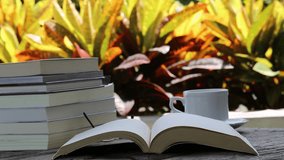 Open book and pile of books white coffee cup closeup on table nature garden background