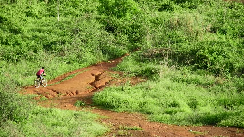 Young men riding bicycles along the mountain trail.