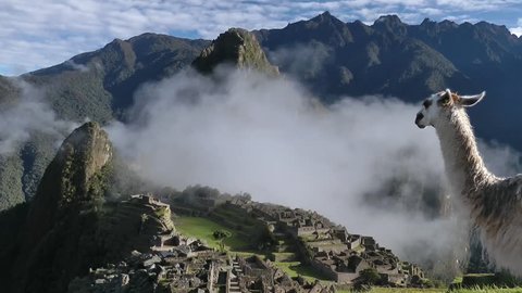 Machu Picchu ancient city of the inca with lama, near Cuzco, andes mountains, South America