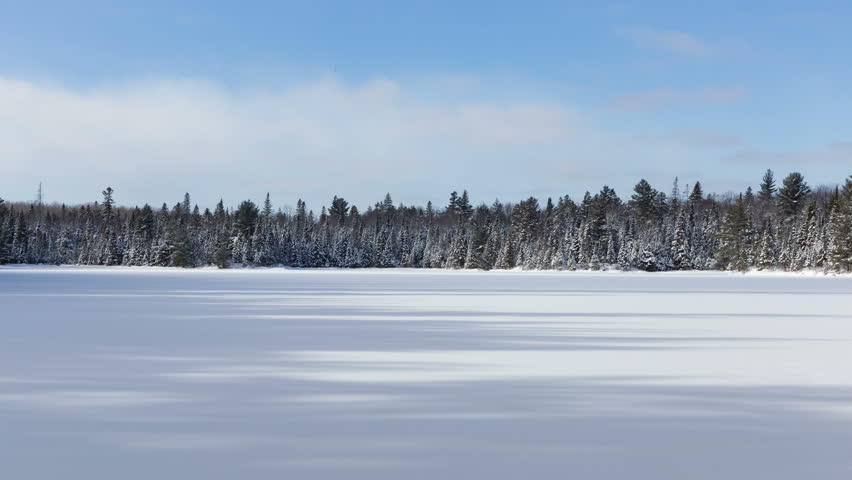 Winter forest frozen lake, Algonquin Park, Canada. 